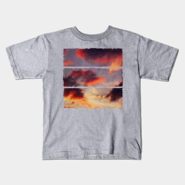 Evening Clouds and a Flock of Birds Kids T-Shirt by DyrkWyst